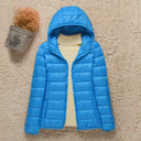  Capuche Bleue
